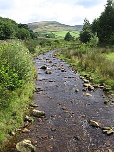 Glossop - Shelf Brook