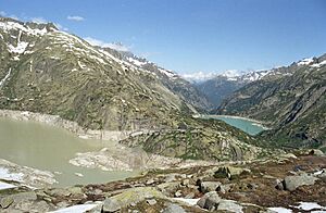 Grimselpass