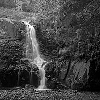 Hemlock Falls SMR Essex NJ