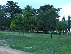 International PEN memorial Canberra