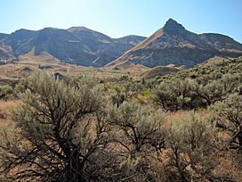 John Day Fossil Beds.jpg