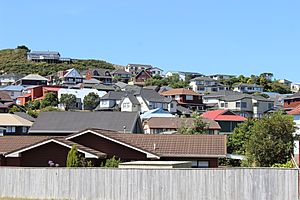 Johnsonville Wgtn 01