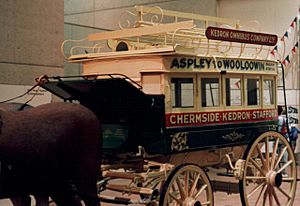 Kedron omnibus