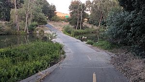 Kluft-photo-2019-06-16-Coyote-Creek-Trail-Bailey-crossing