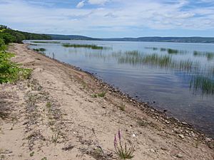 Lake Ainslie1