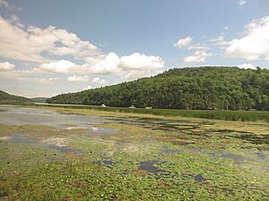 Lake Champlain near Putnam 2017