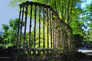 Las Pozas, Xilitla, Mexico (6177184459)