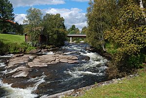 Ljusnan in Ljusnedal