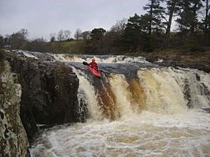 Low Force, River Tees