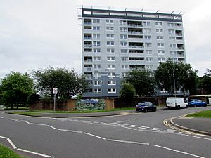 Milton Court, Ringland in 2016.jpg