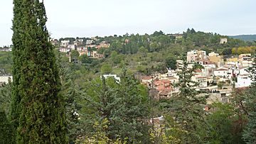 Montjuic Girona Cathedral 2019.jpg