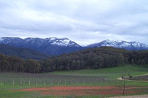 Mt Buffalo, Victoria, Australia