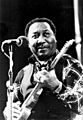 Muddy Waters november 1976