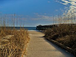 Myrtle Beach State Park.jpg