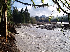 Nisqually River 2006 flood.jpg