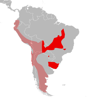 PantanalCatDistributionMap.svg