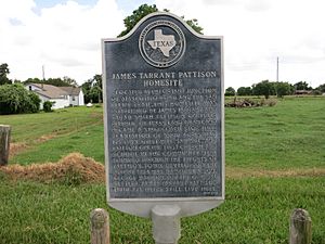 Pattison TX Homesite Marker