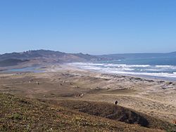 Playa Locobe, Comuna de Arauco