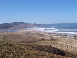 Playa Locobe, Comuna de Arauco