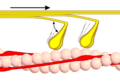 Querbrückenzyklus 2