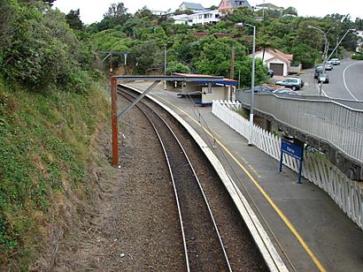 Raroa railway station 04.JPG