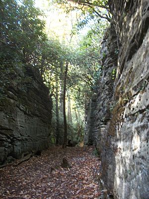 Rock City interior