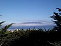 San Francisco bay from coit tower