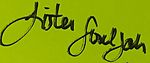 Sister Souljah signature (cropped).jpg