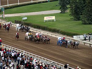 Stampede chuckwagon race