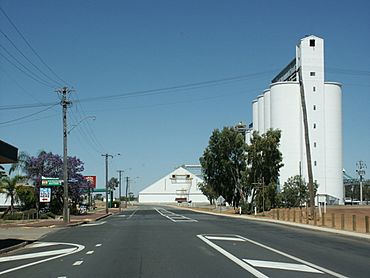 Tammin, Western Australia.jpg