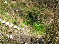 Tanzie Well and steps, Irvine