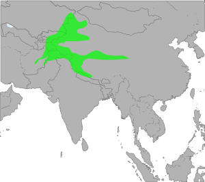 TetraogallusHimalayensisMap.svg