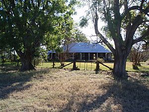 The Glebe Homestead (2009).jpg