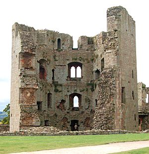 The hexagonal Great Tower, Raglan Castle - geograph.org.uk - 1531739