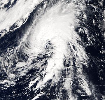 Unnamed subtropical storm (2005).jpg