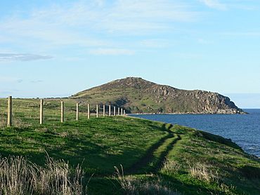 Victor Harbor Bluff.JPG