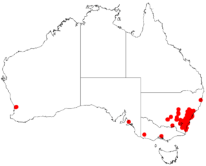 Acacia parramattensisDistMap674.png