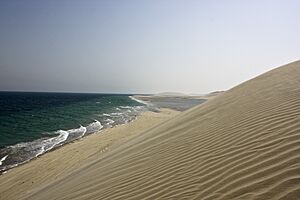 Al Wakrah beach and sandunes