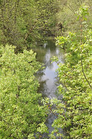 Ash creek in Independence.jpg