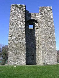 Audley's Castle, closeup.jpg