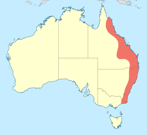 Austrocordulia refracta distribution map.svg