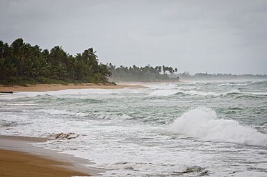 Beach in Loíza, Puerto Rico