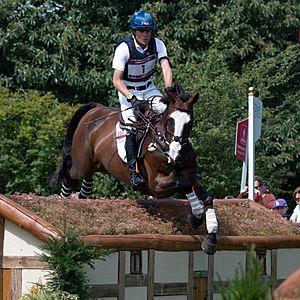 Boyd Martin Otis Barbotiere cross country London 2012.jpg