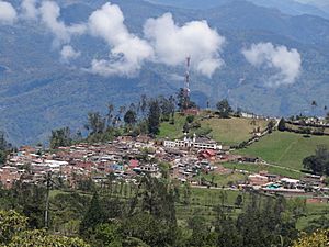 Buenavista Boyaca Urbano.JPG