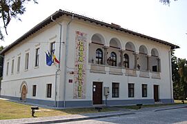 Casa Baniei