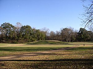 Chromesun grandvillage of the natchez01