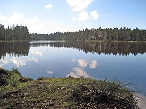 Etang de la Gruere