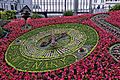 Floral clock (37546496942)