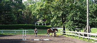 Horseback Riding in Van Cortlandt Park