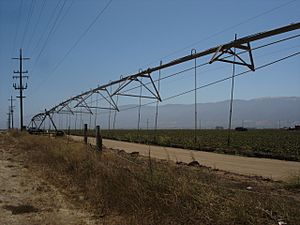 Irrigation system